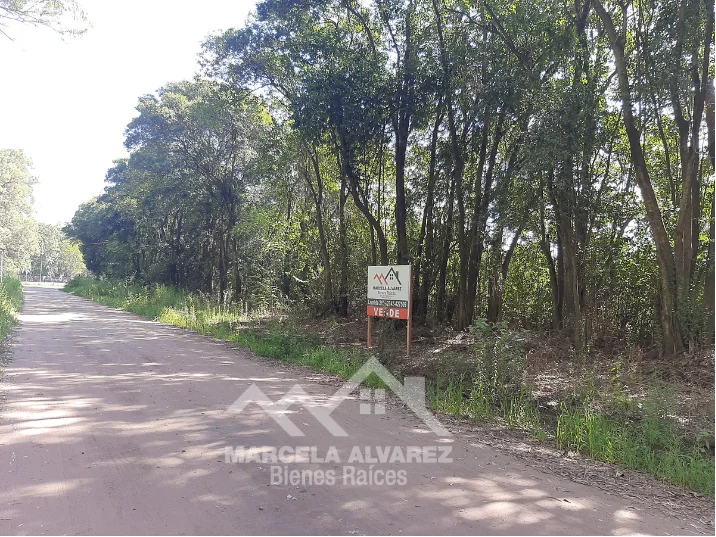 VENTA - LOTE - BRAGADO