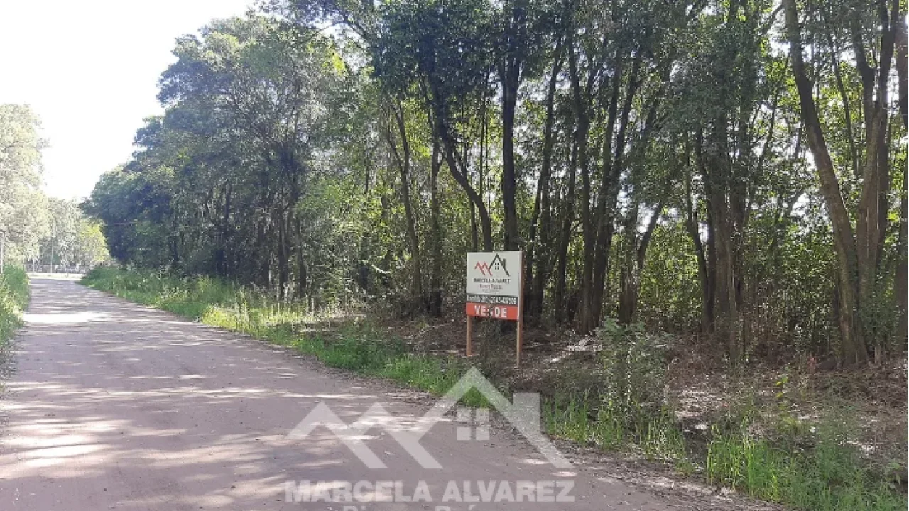 VENTA - LOTE - BRAGADO