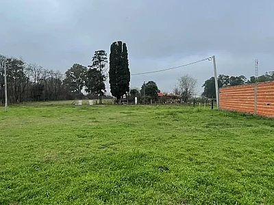 Lotes Las Magnolias