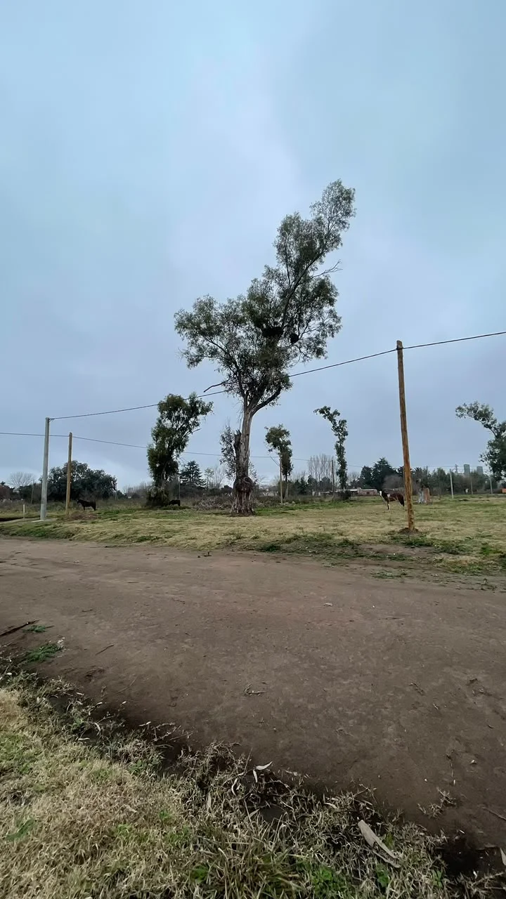 Lotes Ibarguren