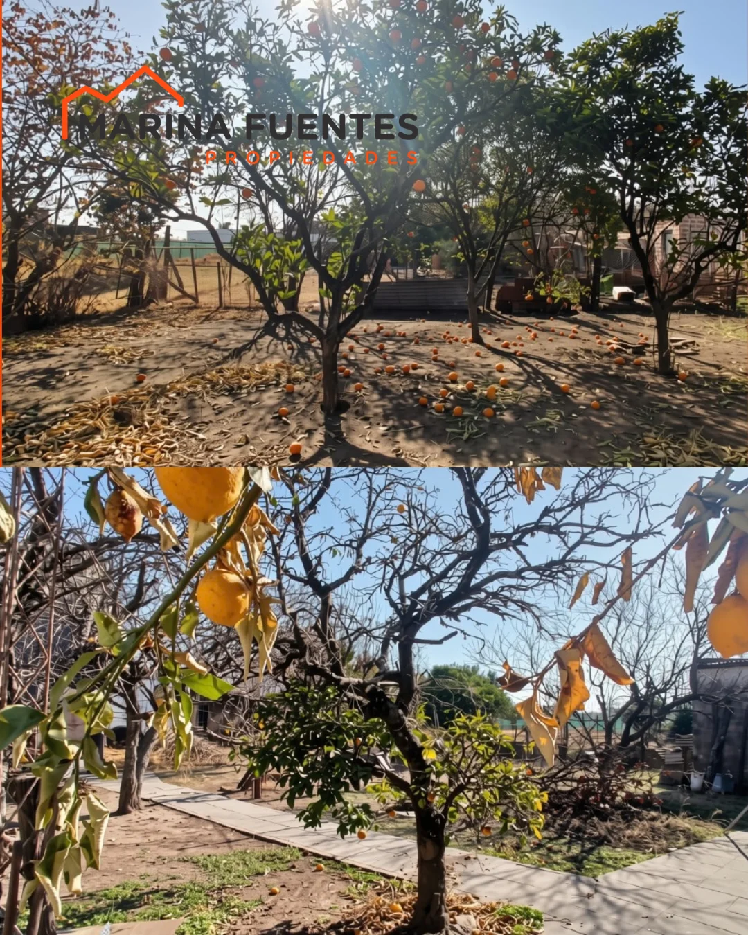 EN VENTA ➡️ CASA CON AMPLIO TERRENO Y TINGLADO