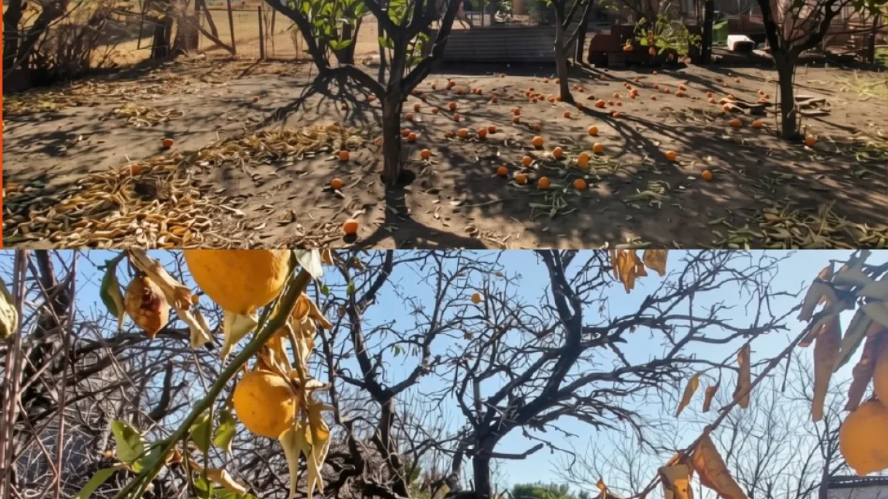 EN VENTA ➡️ CASA CON AMPLIO TERRENO Y TINGLADO