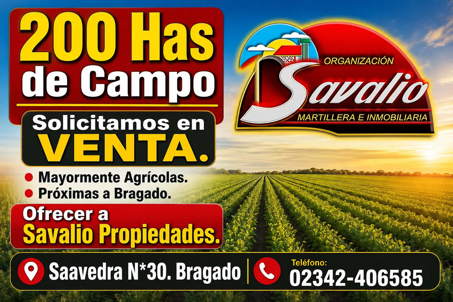200 HAS DE CAMPO SOLICITAMOS EN VENTA - ZONA BRAGADO - OFRECER 02342 406585