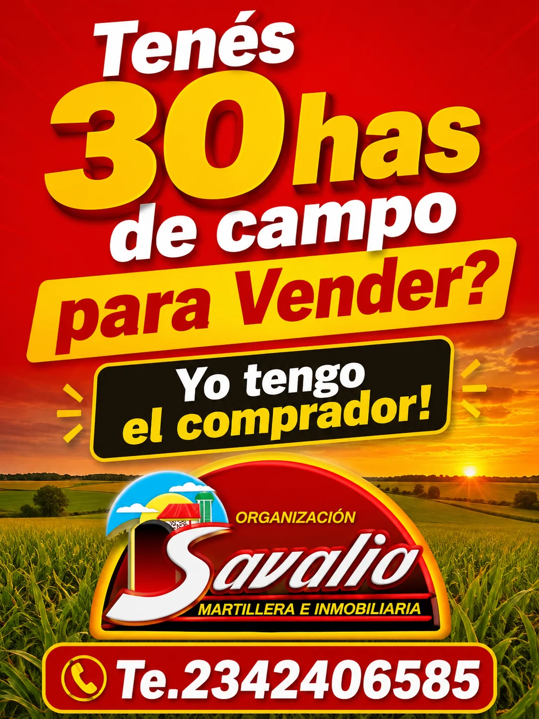 TENES 30 HAS DE CAMPO PARA VENDER??? TENGO EL COMPRADOR . OFRECELAS EN SAAVEDRA 30 BRAGADO- O COMUNICATE AL TELEFONO 02342406585