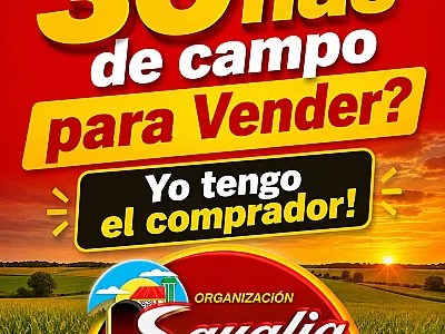 TENES 30 HAS DE CAMPO PARA VENDER??? TENGO EL COMPRADOR . OFRECELAS EN SAAVEDRA 30 BRAGADO- O COMUNICATE AL TELEFONO 02342406585