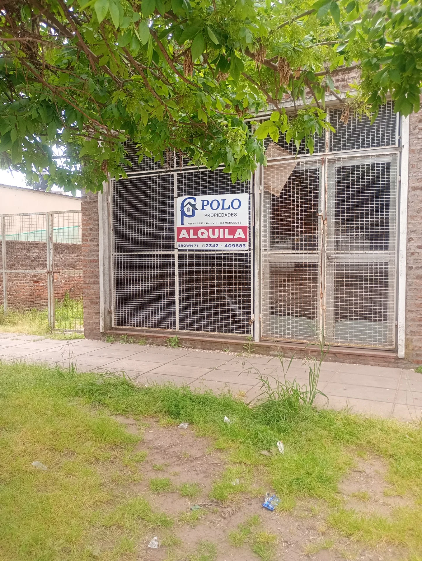 Local en Alquiler
