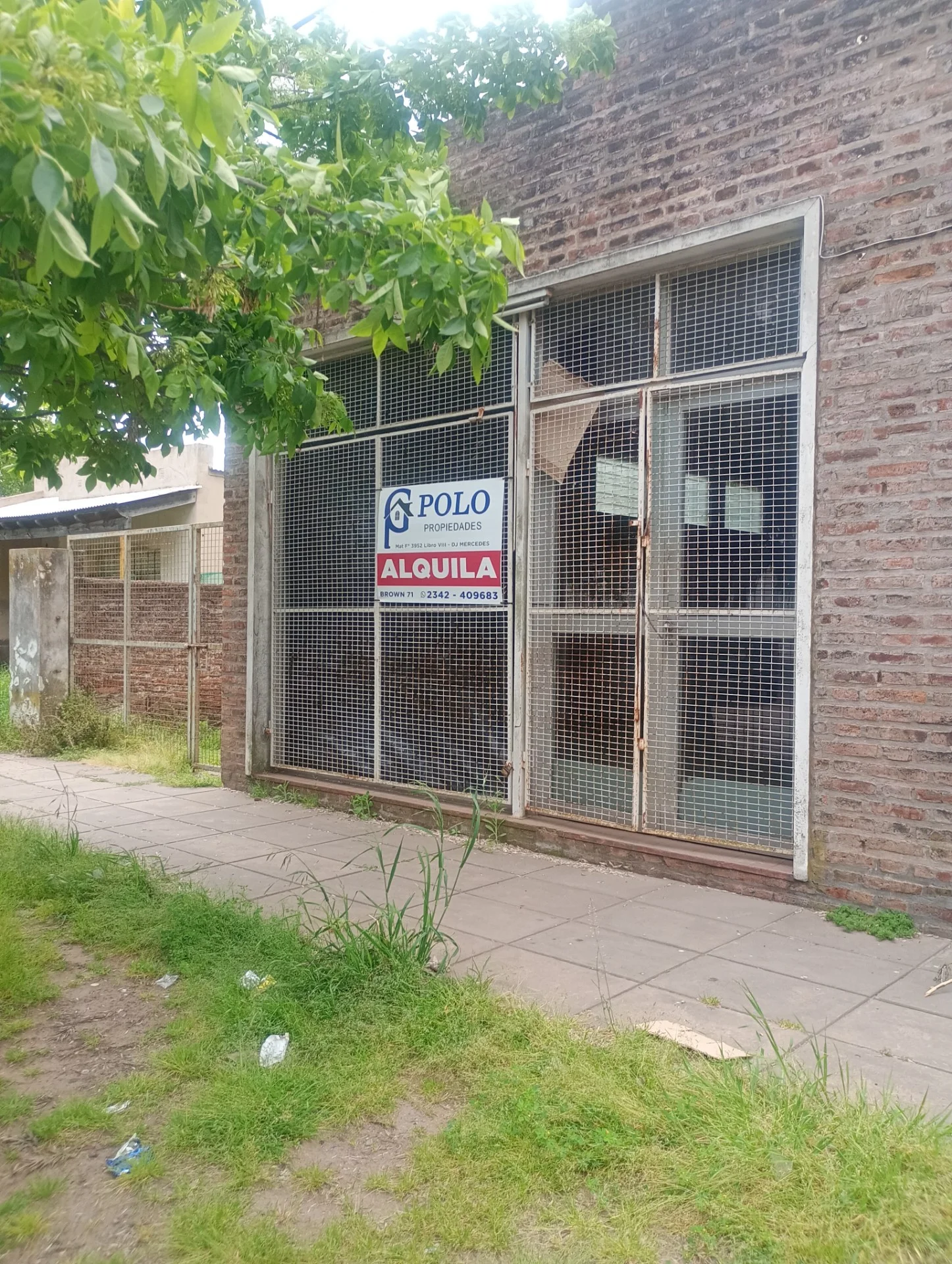 Local en Alquiler