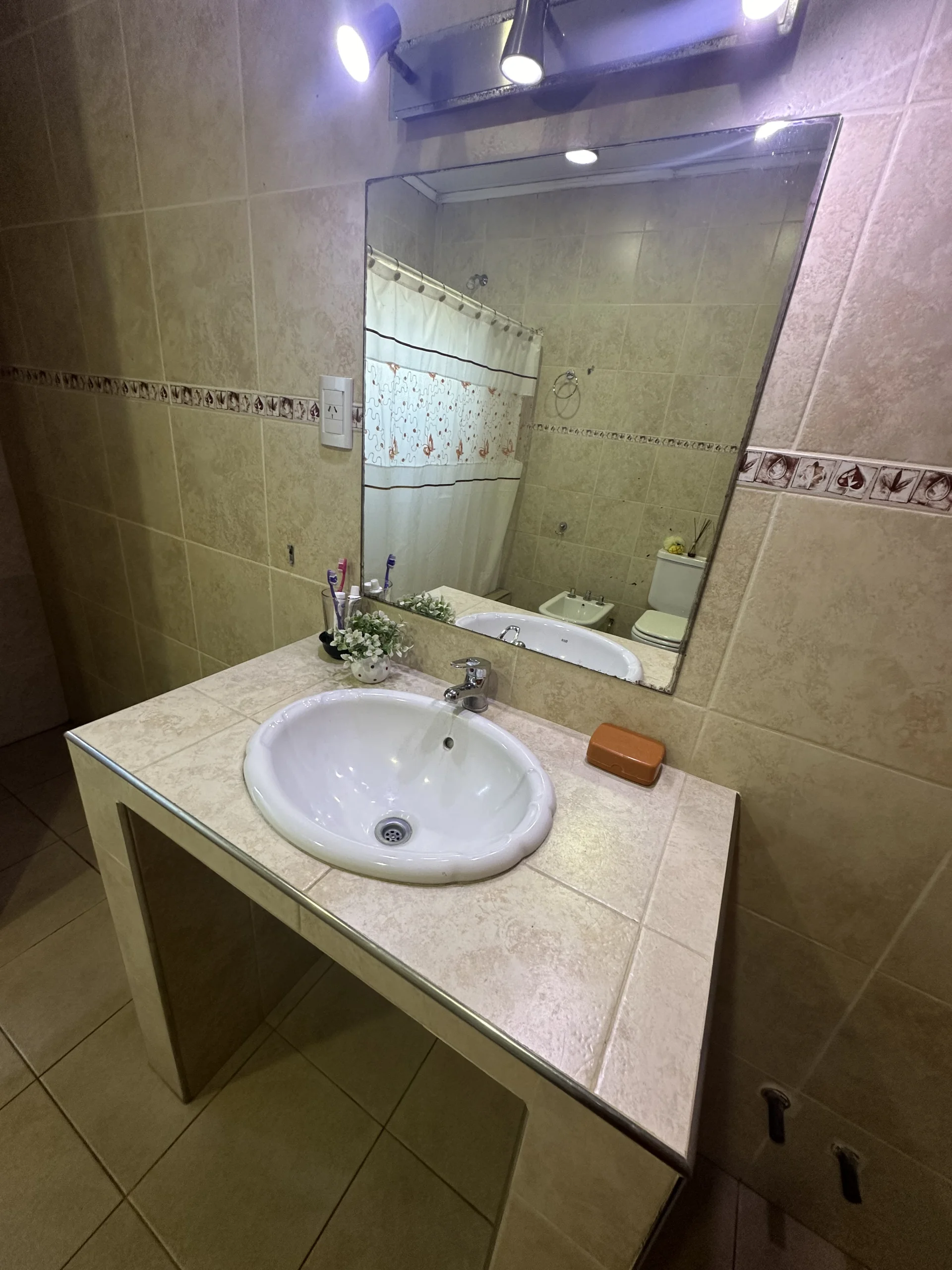 Casa Ameghino 2255