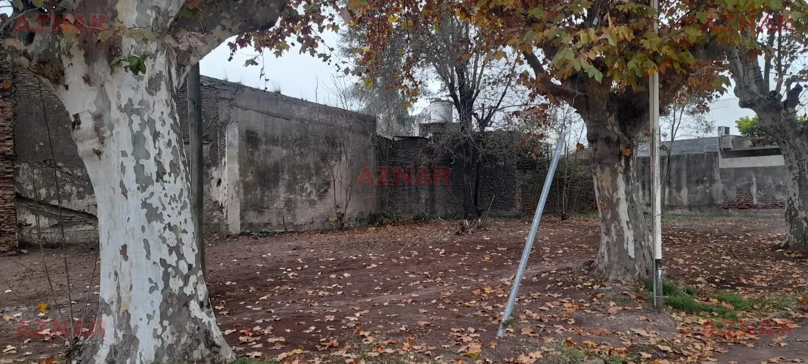 Terreno  en venta en San Martin esquina Macaya