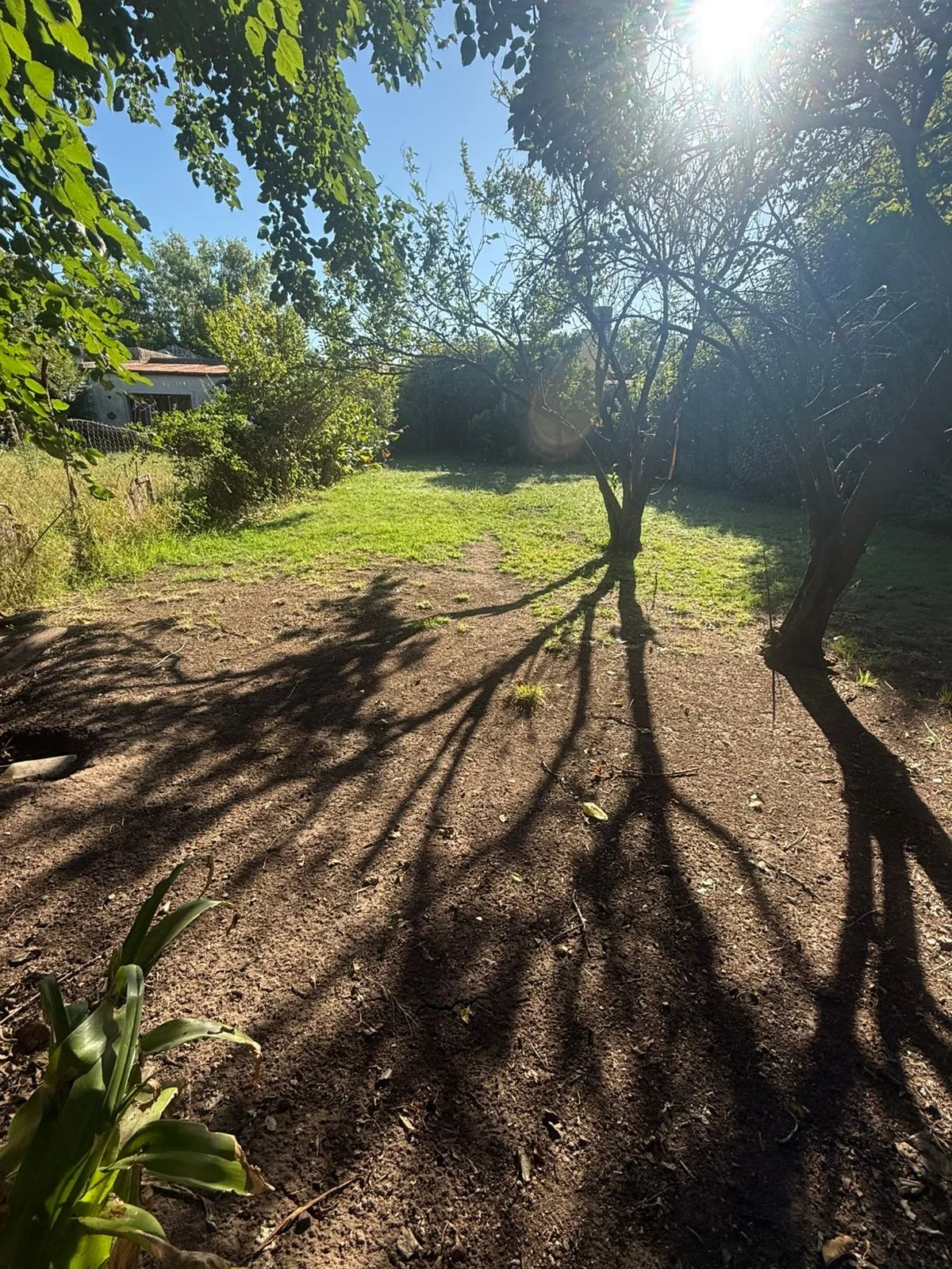 CASA EN VENTA | CALLE FILIBERTO | MECHITA